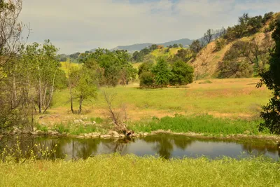 DSC_6383 (Large).JPG